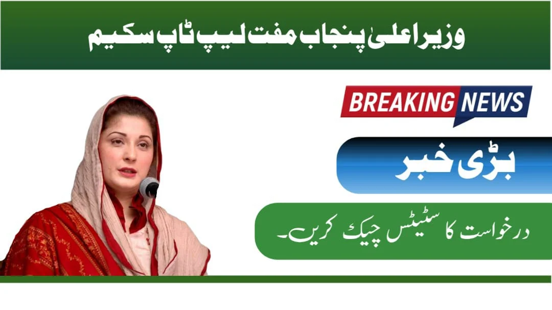 CM Punjab Solar Scheme Application Status Check in 2025