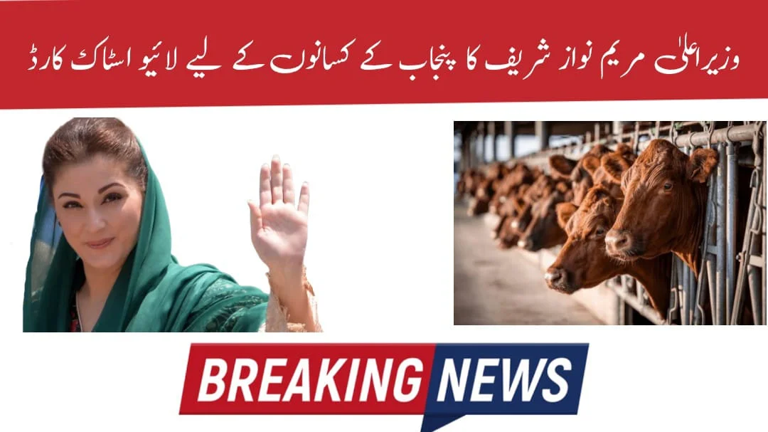 CM Maryam Nawaz Sharif Introduced Interest-Free Loan Program for Punjab Farmers Via Livestock Card 2025