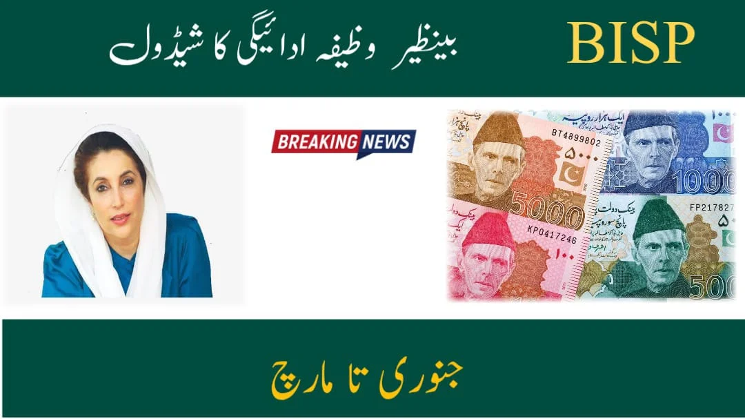 Benazir Taleemi Wazaif Payment Schedule and Districts for January to March 2025